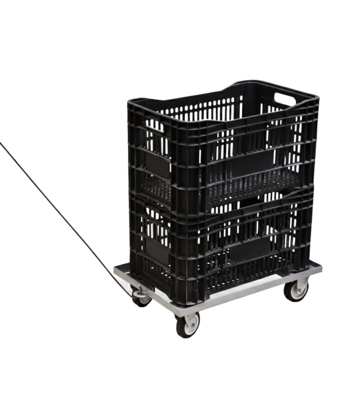 wmft250 Carrinho Tartaruga Com Puxador 600X400 mm - 250 KG (WMFT250) - Imagem 1